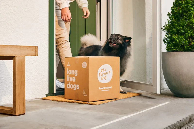 Viral-Promptus Unboxing Pet Subscription CONRUGIS Pyxidas